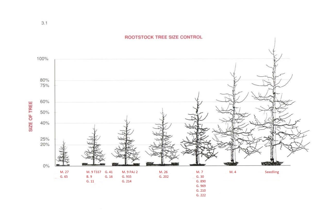 Varieties and Pollination BC Tree Fruit Production Guide